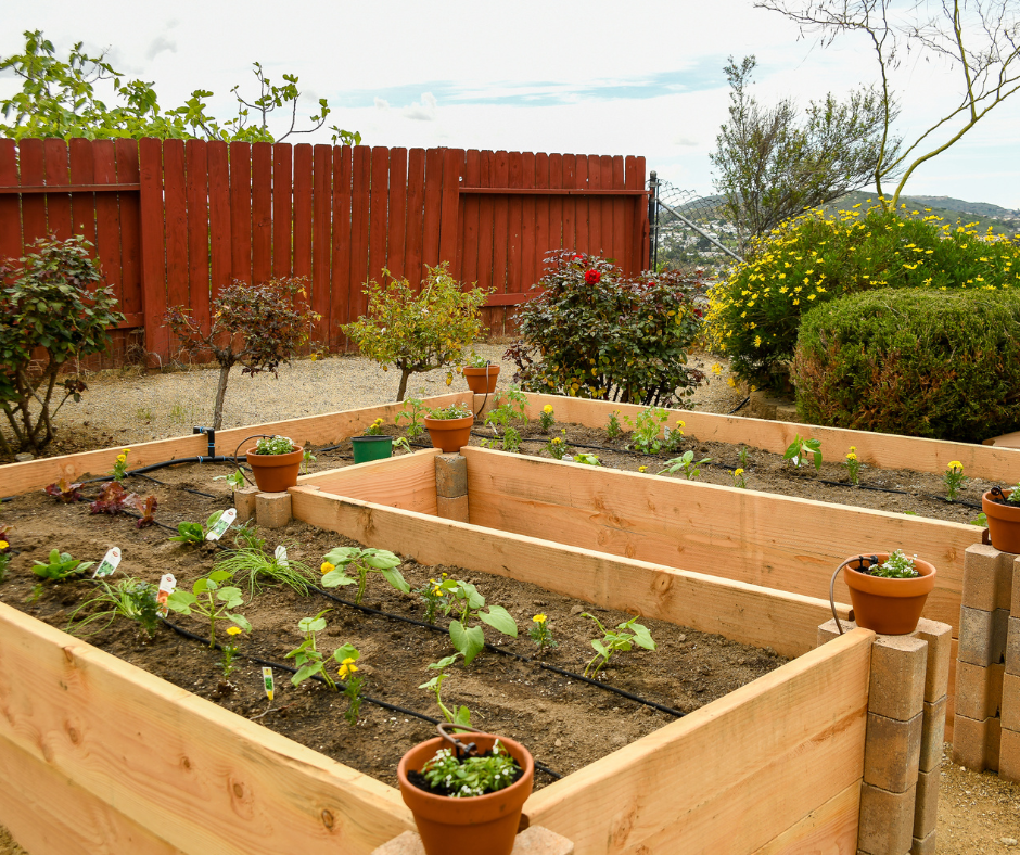 raised garden planting beds west midlands