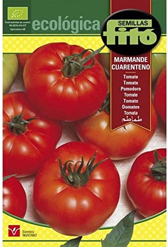 Grow Your Own Marmande Tomatoes Costa Blanca