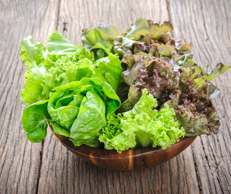 Grow your own Lettuce