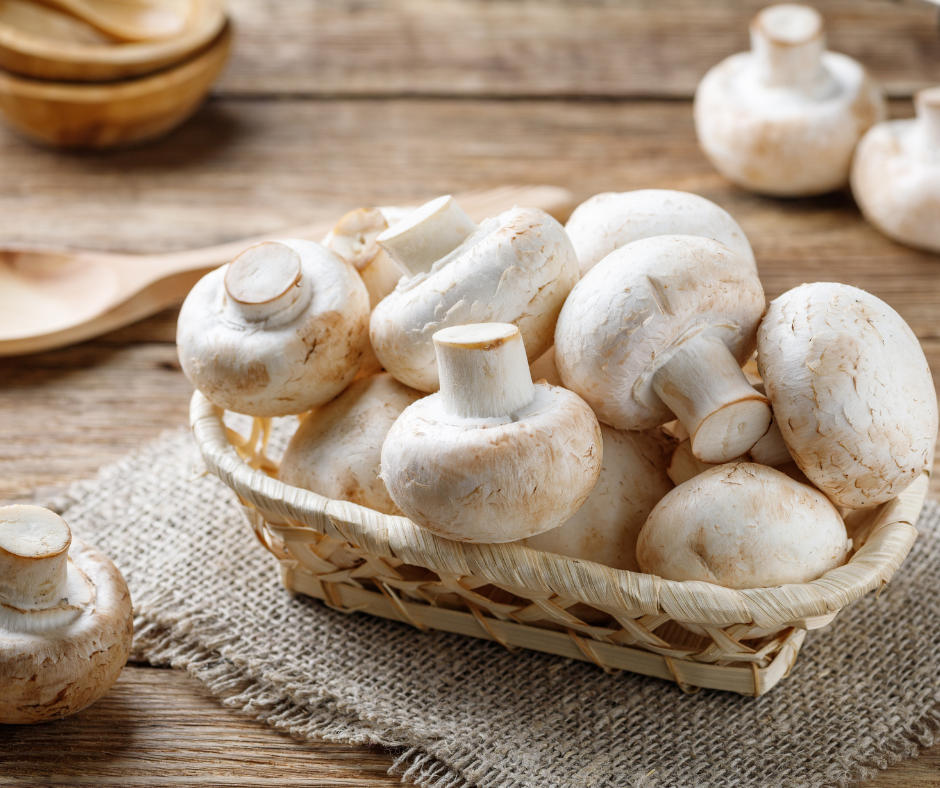 Grow your own mushrooms