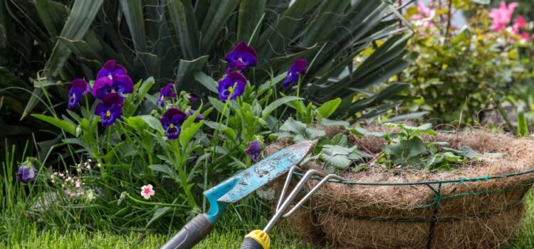 Best Plants and Trees for the Costa Blanca