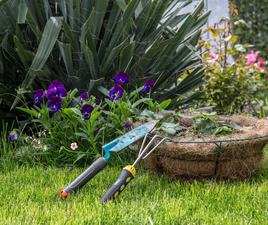 Best Plants and Trees for the Costa Blanca